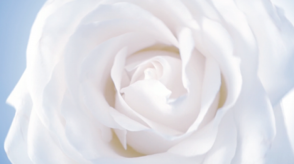 New Cosmetic film: A Rose is a  Rose by Isabelle BONJEAN 