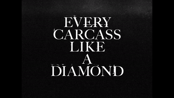 FC:B + Every Carcass Like a Diamond